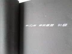 绿都B1级橡塑图2