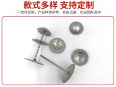 保温焊钉风管铁皮焊钉风筒焊接钉厂家批发碳钢保温钉图2