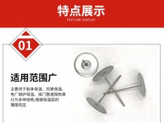 异形金属电厂自锁垫片保温钉自锁压板带钩保温焊钉图3