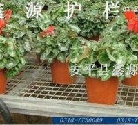 供应苗床网(图)图3